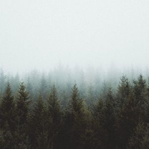 Meet your Posher, Meghan